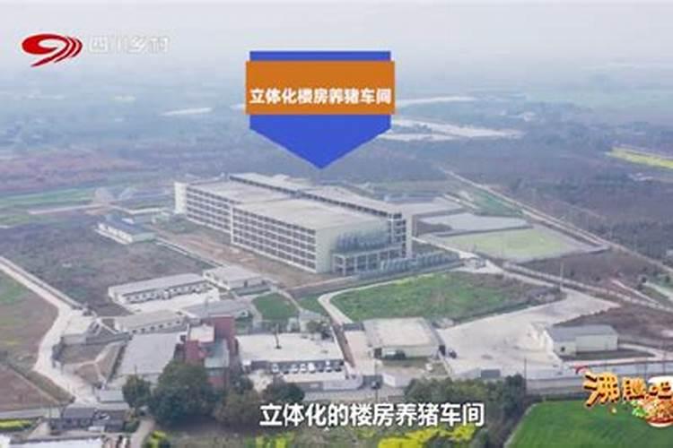 各个行业的龙头股票是哪些？