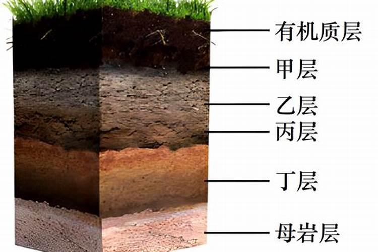 黄瓜栽培可施用的钾肥有哪些？