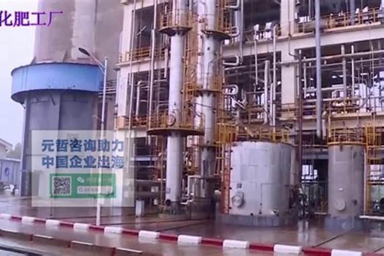 水溶肥后多久能浇水