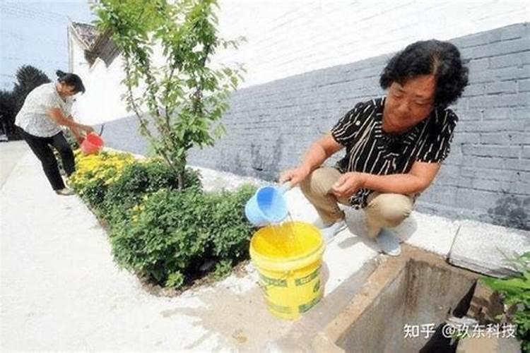 尿液可以做肥料吗