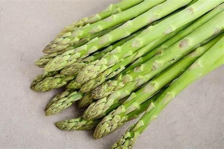 芦笋能和什么庄稼混合种植
