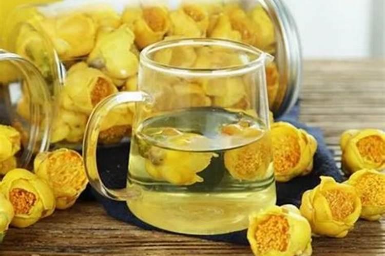 凹脉金花茶种殖方法