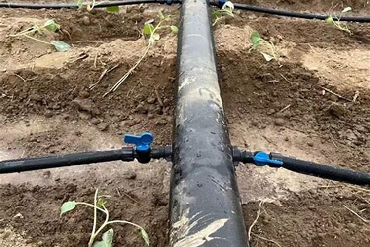 水溶肥怎么使用 水溶肥正确使用方法