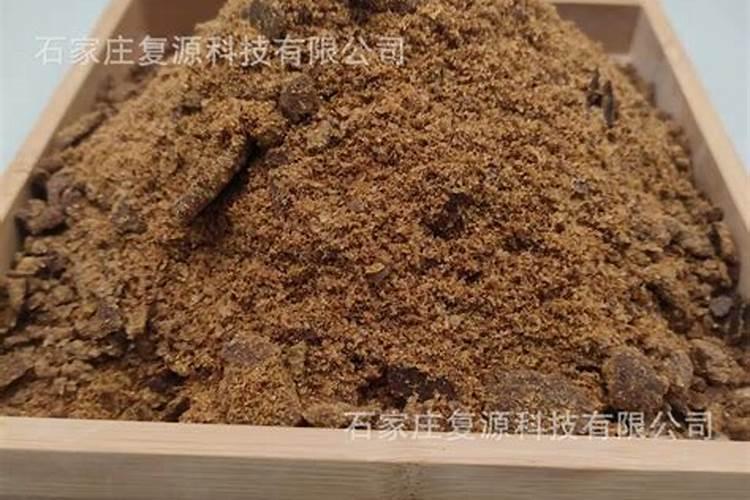 红豆杉用什么肥料最好