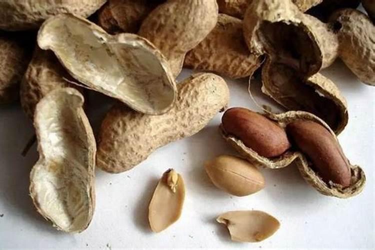 花生壳会腐烂吗