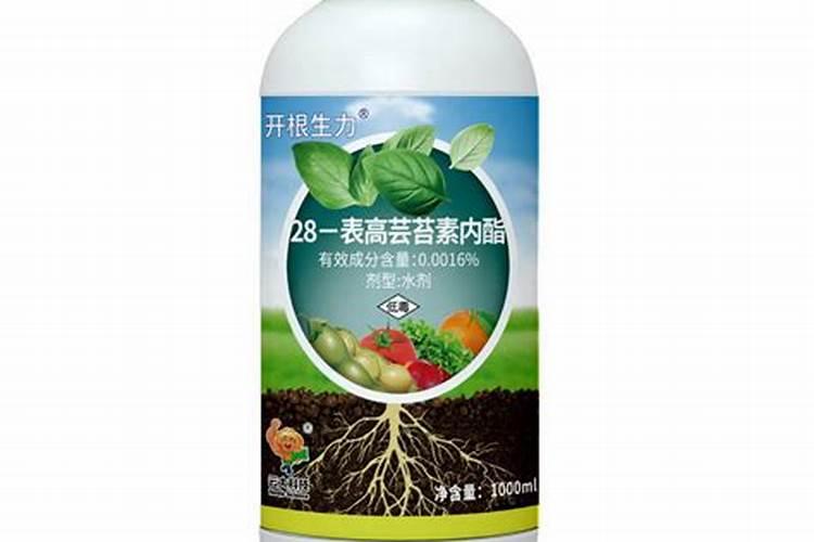 芸苔素西瓜灌根的倍数？