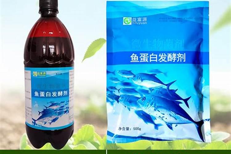 鱼蛋白肥制作方法