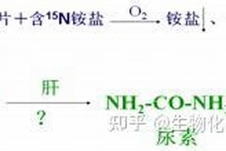 氮肥是尿素吗