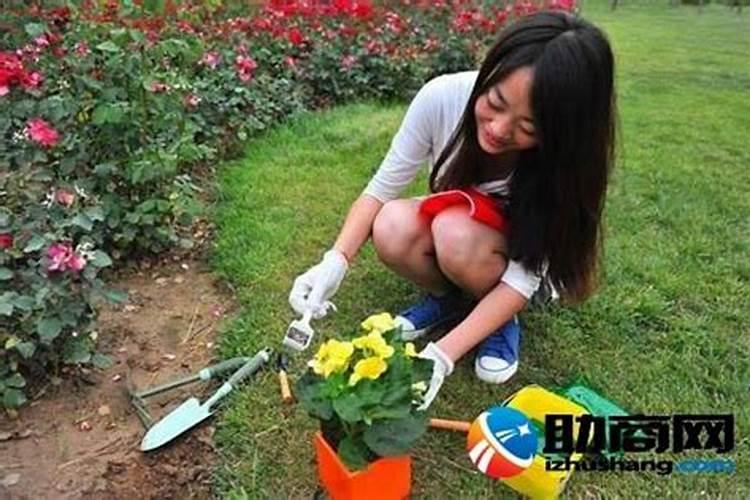 花卉养殖施肥方法