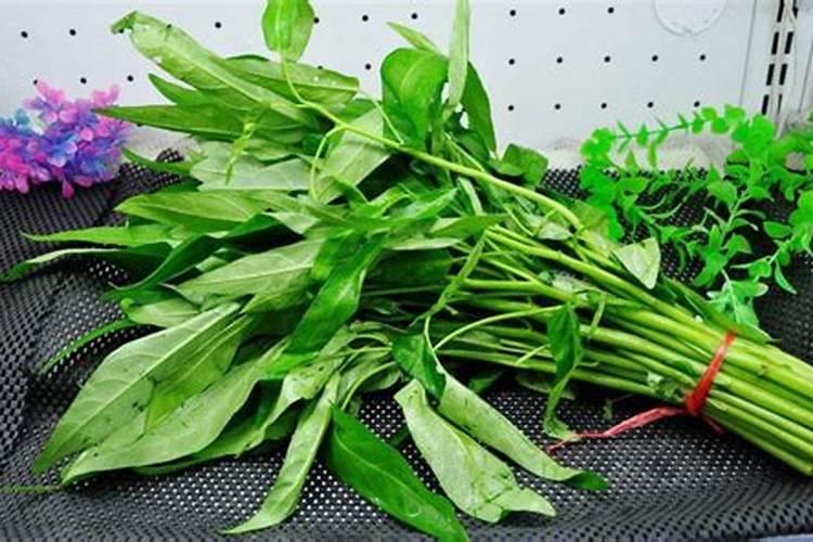 空心菜施什么肥更鲜嫩