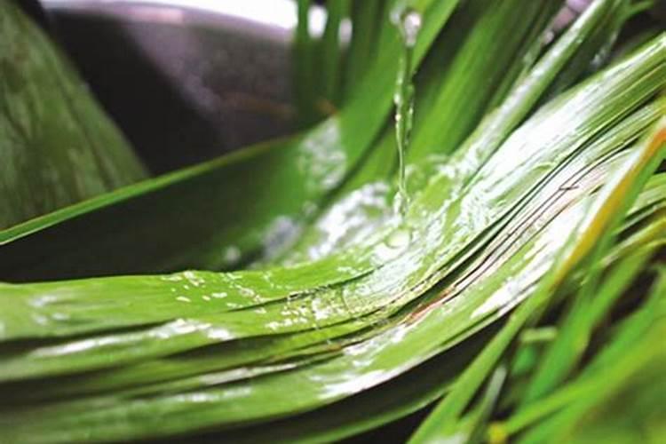 水煮粽叶的正确做法