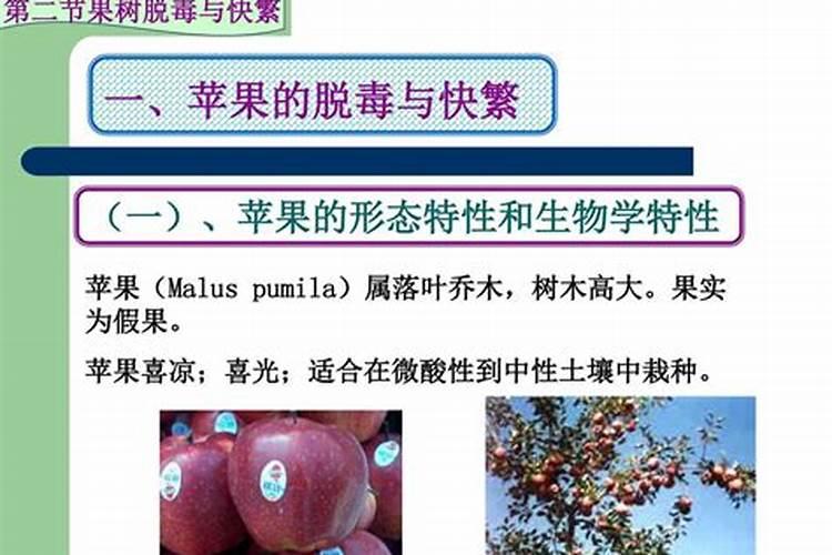 苹果树的花脸病是怎么造成的,有哪些治疗办法？
