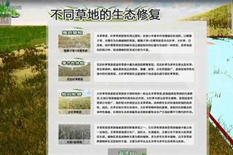 新种草皮施不施肥种植草皮前如何施肥