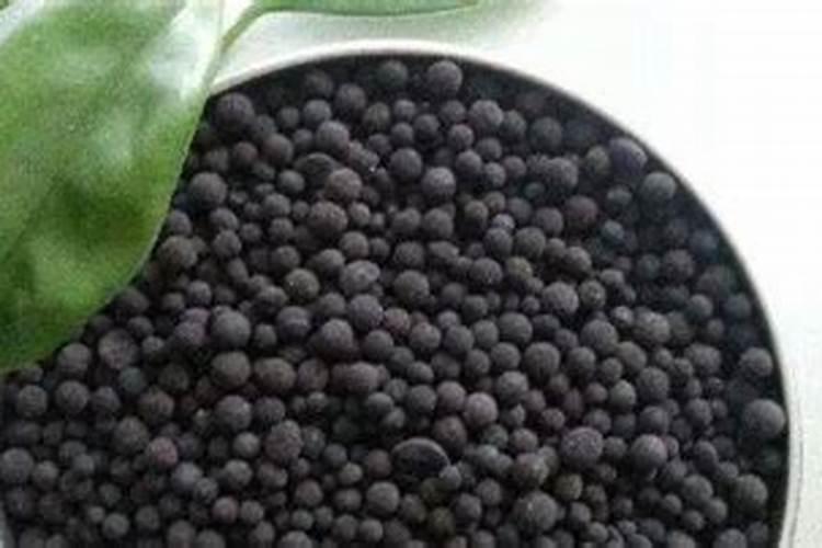 玉米施肥多久浇一次水好