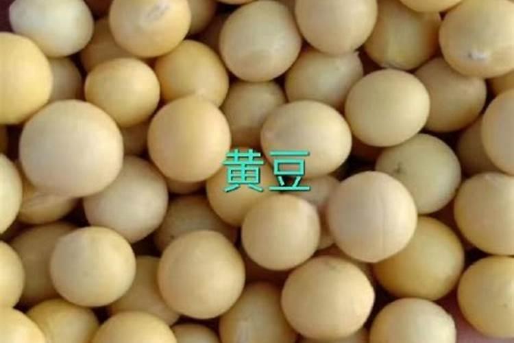 磷肥溶于水的现象