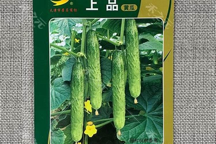 蓝莓开花结果期施什么肥好