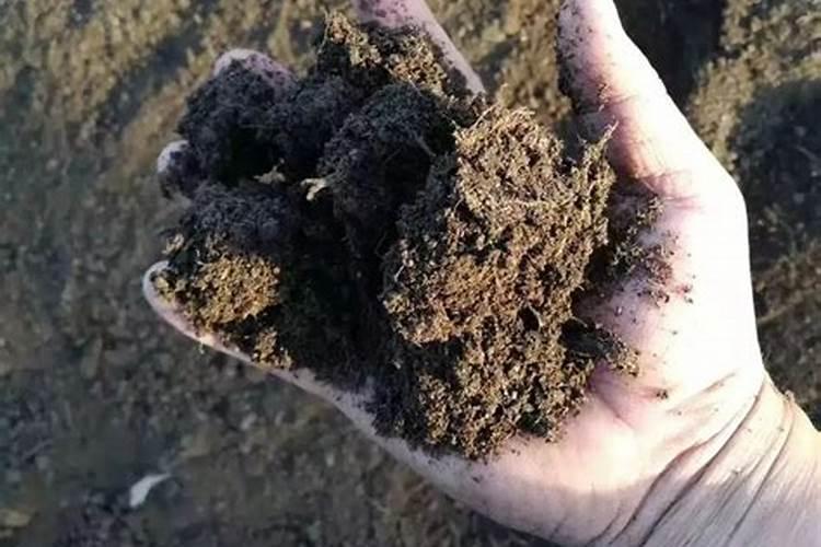 有机肥长蛆虫还能用吗 有机肥的原料是什么