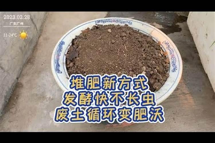 咖啡渣长蛆怎么办