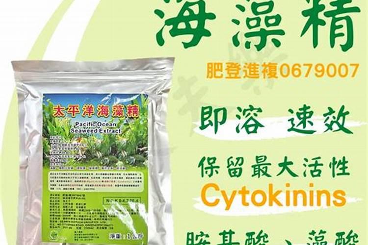 骨碎补的功效与作用 骨碎补怎么服用有效