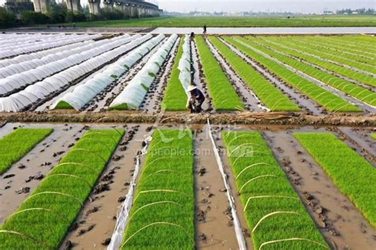 朵水源护肤品怎么样？