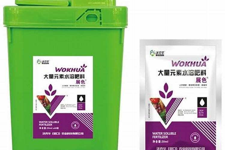 水仙球种下多久能发芽 水仙花种下后一般要几天能发芽