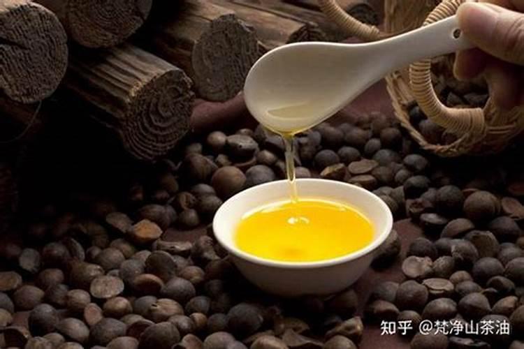 油茶树种植方法介树种植前景如何？