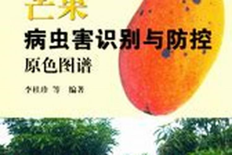 合理施肥才能高产,芒果树的施肥技术有哪些？