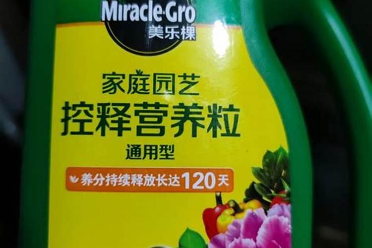 朱顶红可以用磷酸二氢钾肥吗