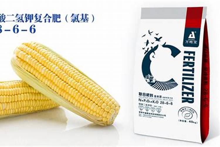 种植玉米一般施肥用什么化肥