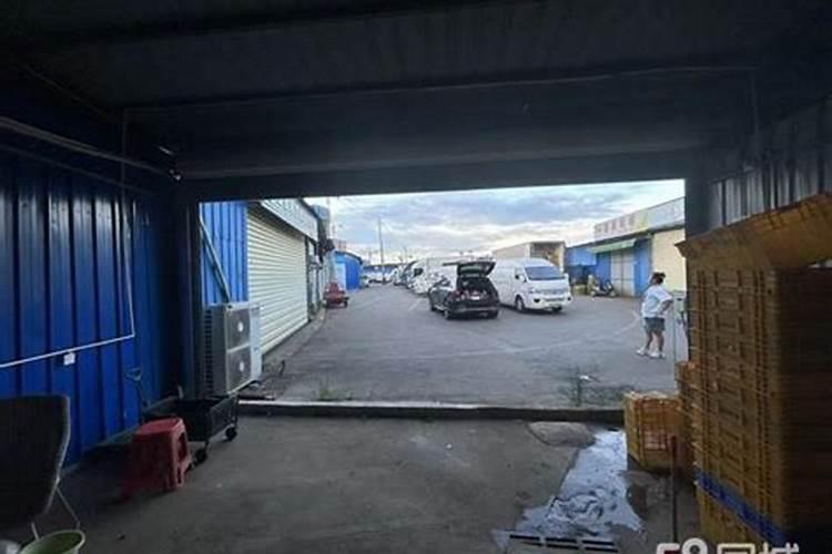 海口适合养什么花