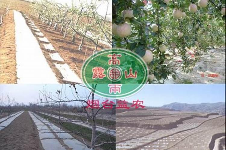 三角梅多久施一次肥(施肥方法和时间)