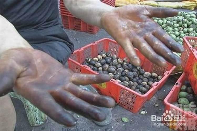 核桃树需要哪些肥料