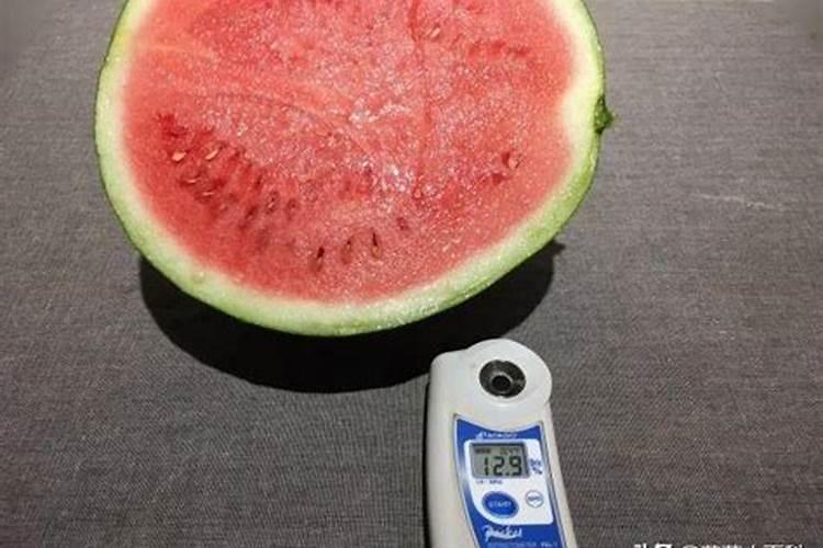 鱼蛋白肥料的使用技巧