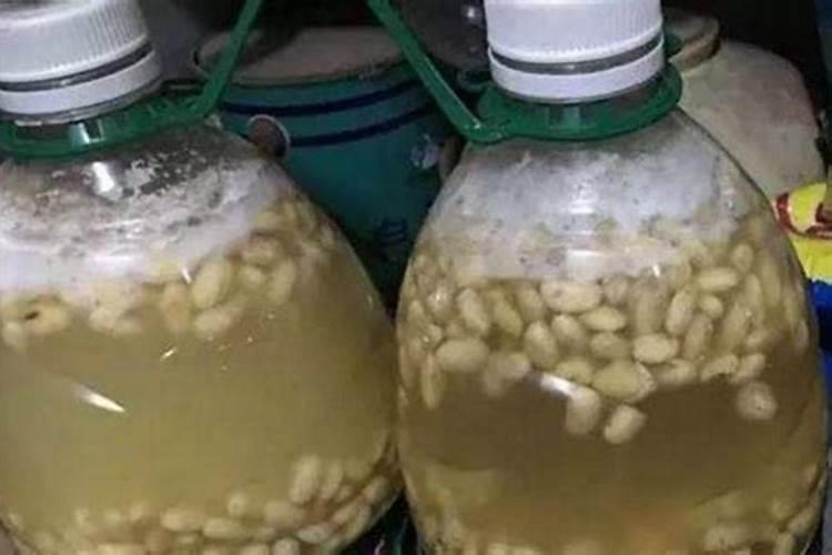 黄豆开花期需要施什么肥 什么时候施肥能高产