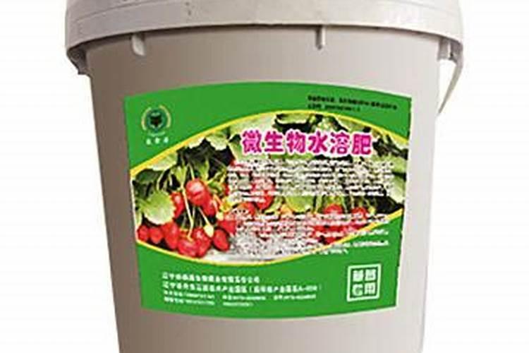 宇龙美收草莓苗能用吗？