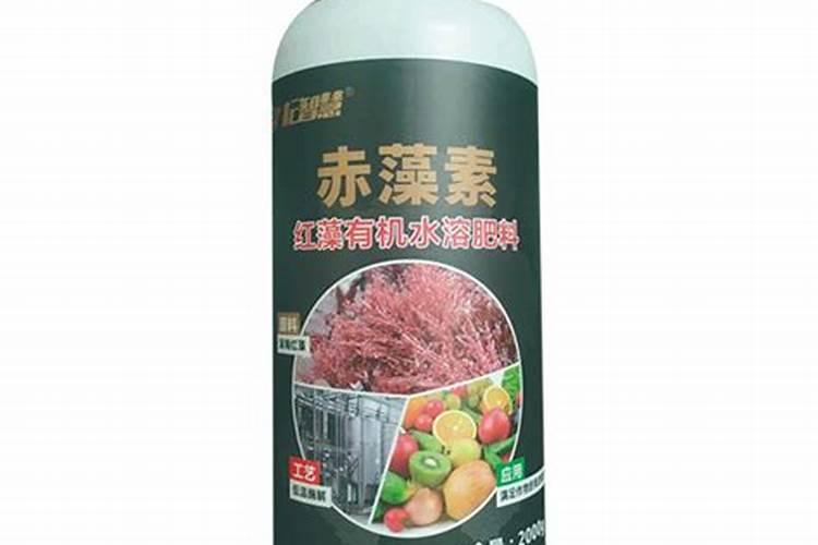 王叔和™花粉多糖,原来是一种新型生物刺激素!