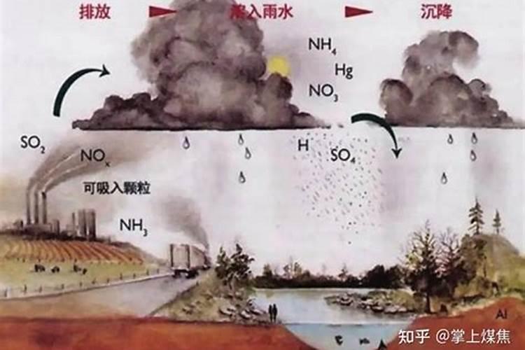 中量营养元素肥料对农产品的质量有哪些影响？