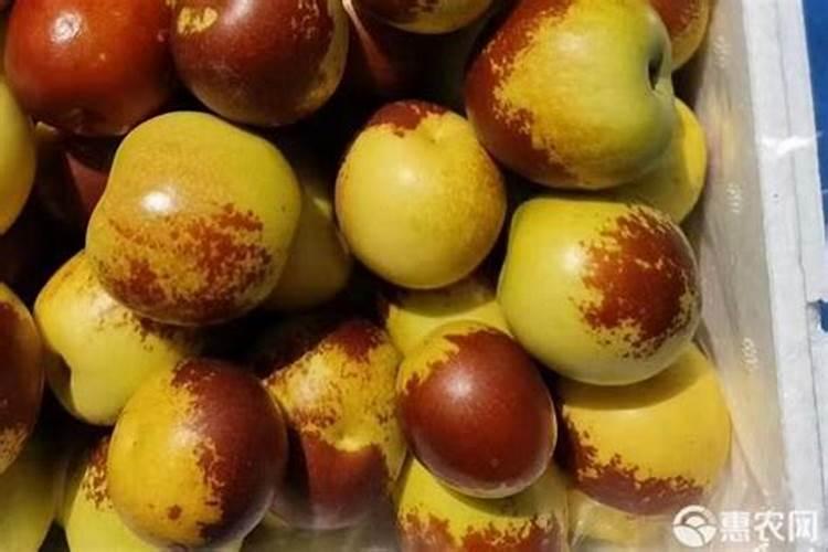 冬枣树现在需要上什么肥最。？