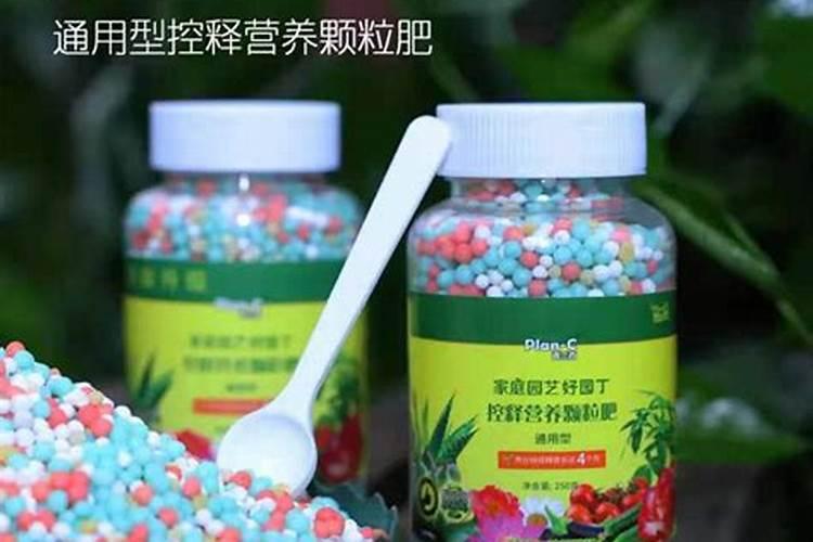 多肉控释肥和缓释肥有什么区别？