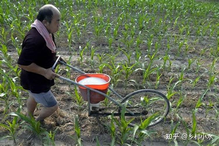 黄腐酸钾水溶肥如何使用？有什么作用？