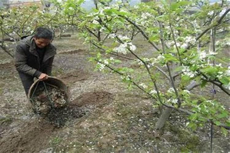 钙肥能与大量元素水溶肥同时冲施吗