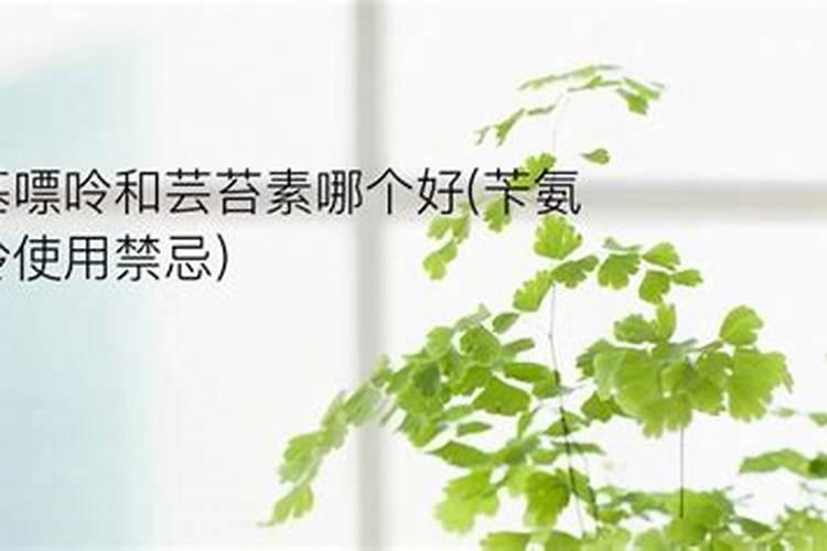 苄氨基嘌呤和芸苔素喷太重会不会引起花芽太长？