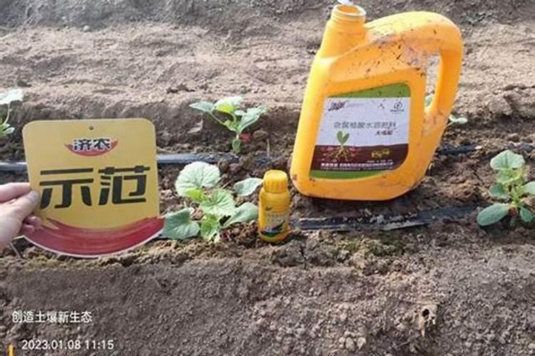 矿源黄腐酸钾的应用范围