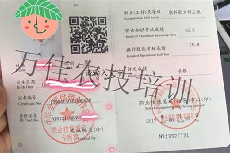 钾肥的作用是什么