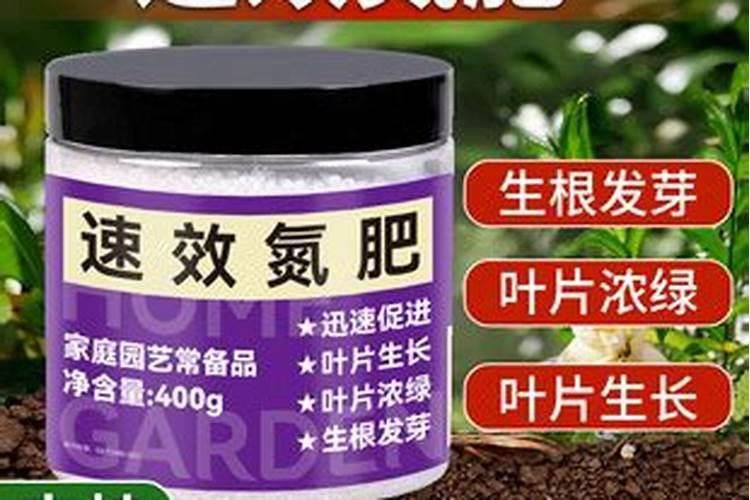 家庭养花自制氮肥有哪些