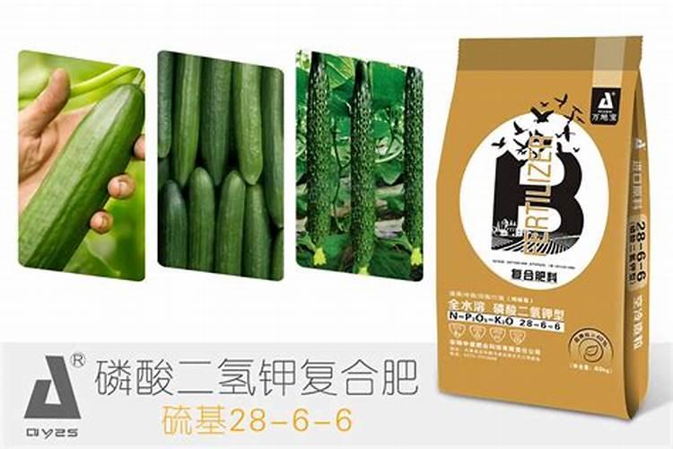 黄瓜用什么肥料产量高