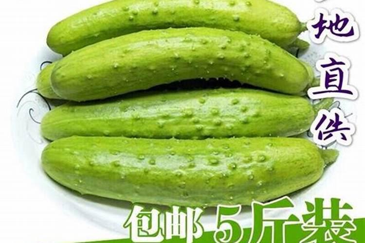 黄瓜用什么肥料产量高