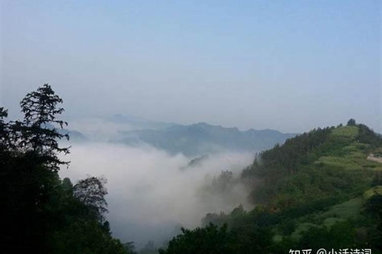 氨基酸叶面肥是什么？可以促进果树坐果吗？