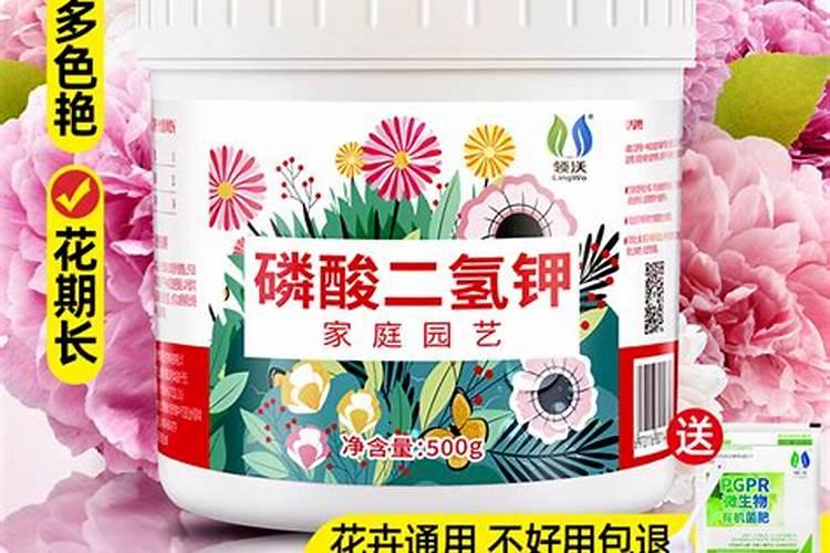 脐橙复合肥施肥方法