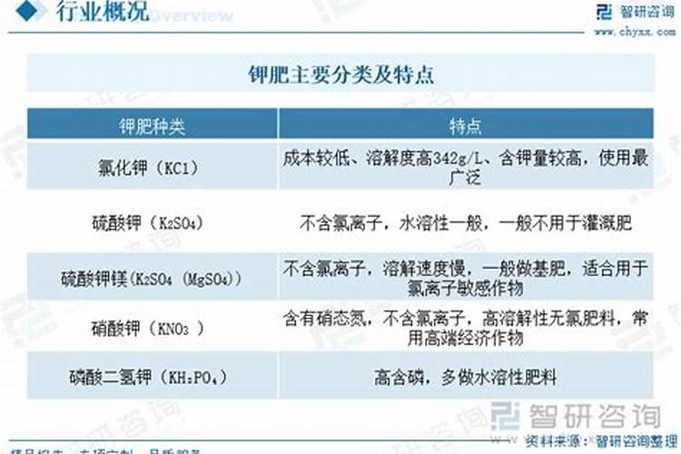 圣女果膨大着色增甜同步进行用什么肥最好